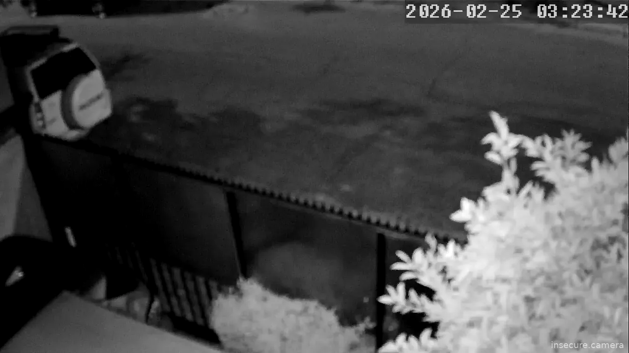 Capture from Feb 25, 2026 at 06:24 AM