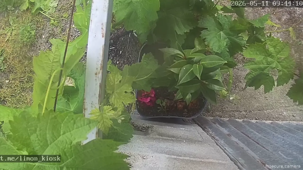 Capture from May 11, 2026 at 08:44 AM