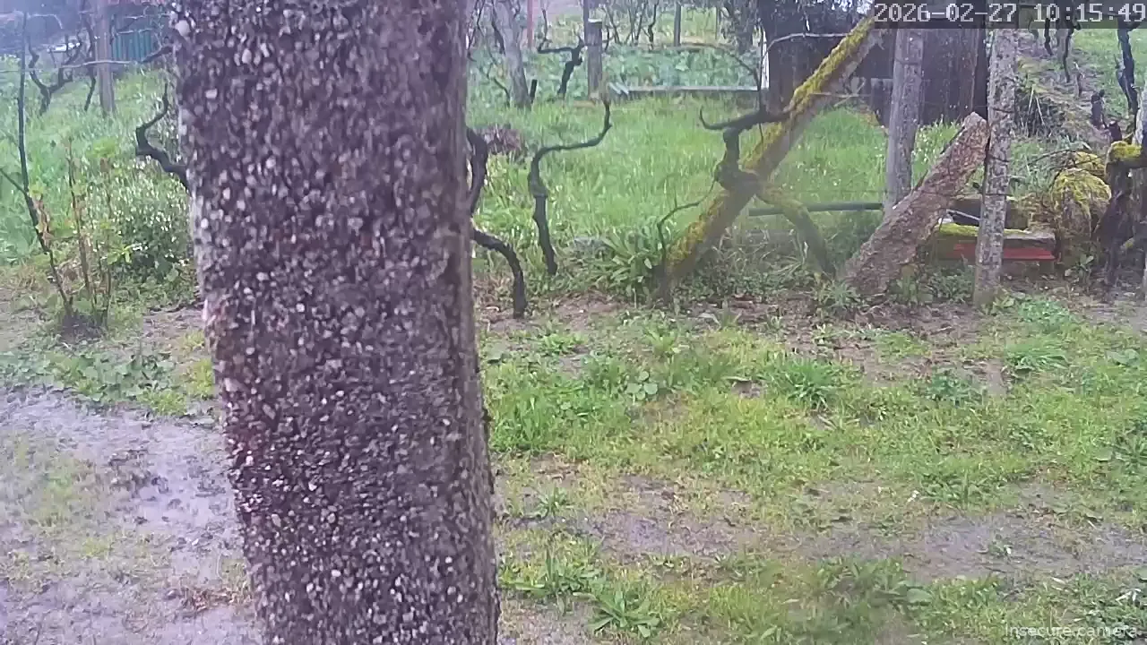 Capture from Feb 27, 2026 at 10:16 AM