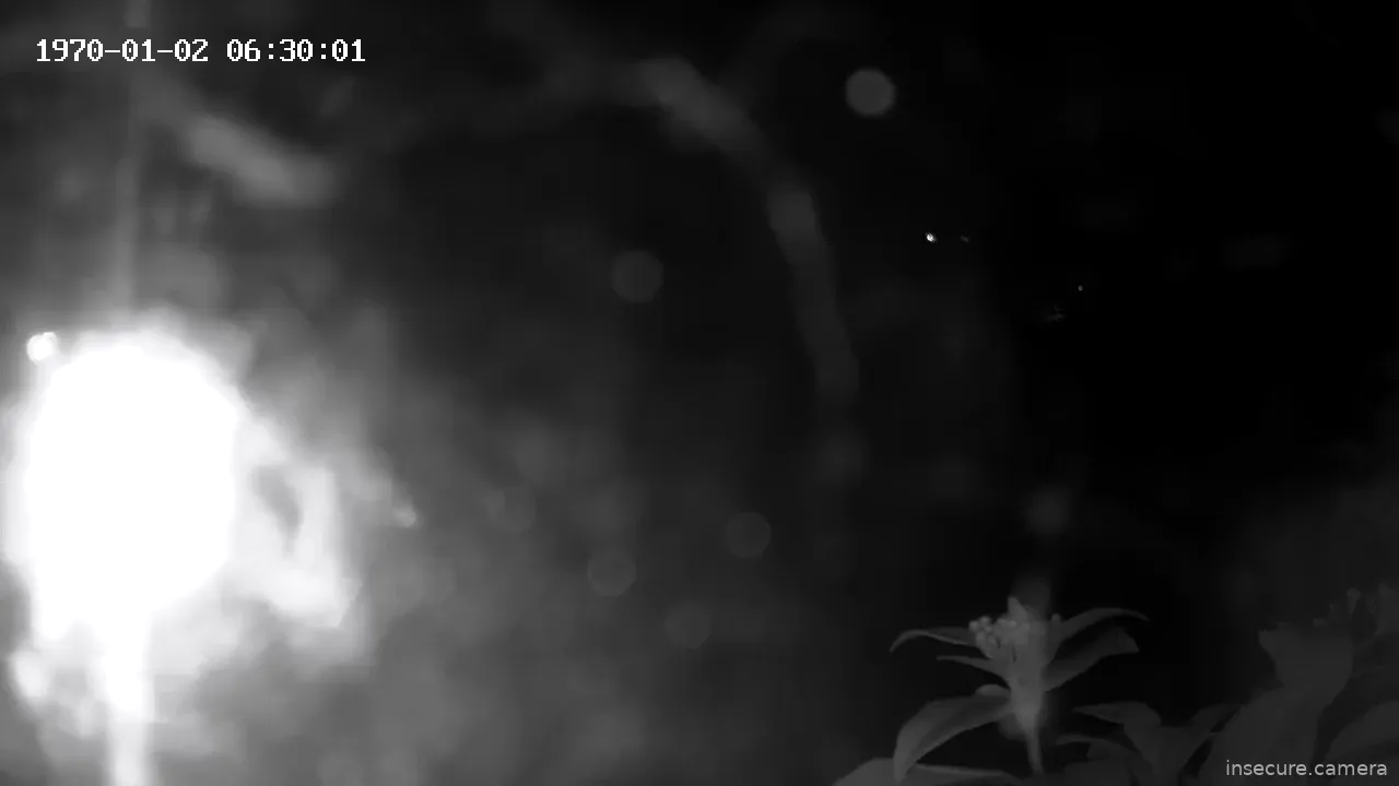 Capture from Mar 12, 2026 at 02:29 AM