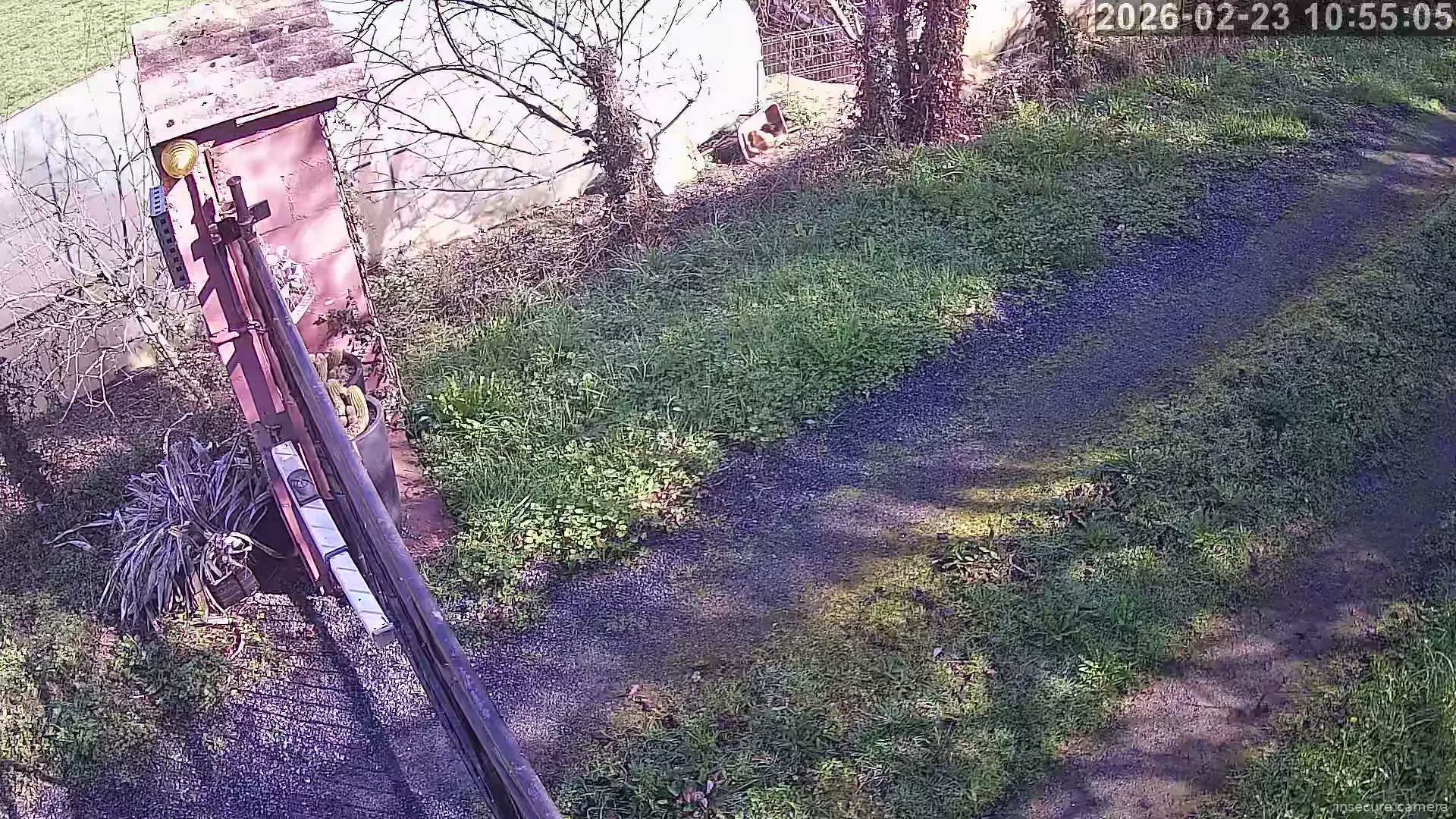 Capture from Feb 23, 2026 at 10:55 AM