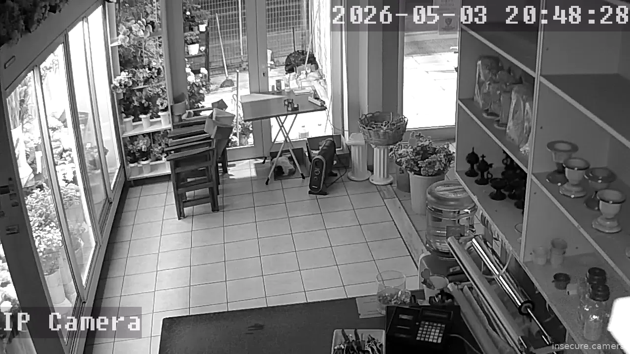 Camera in Greece