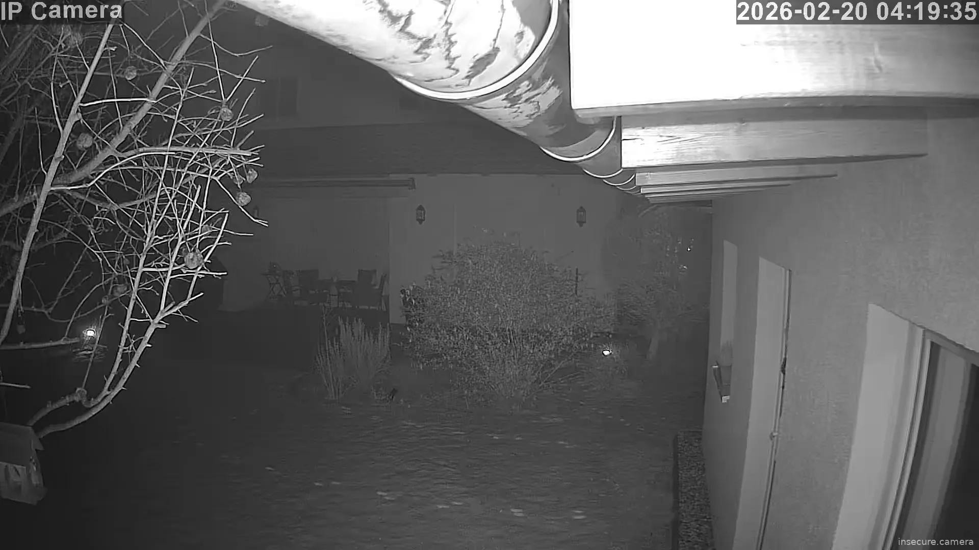 Capture from Feb 19, 2026 at 08:19 PM