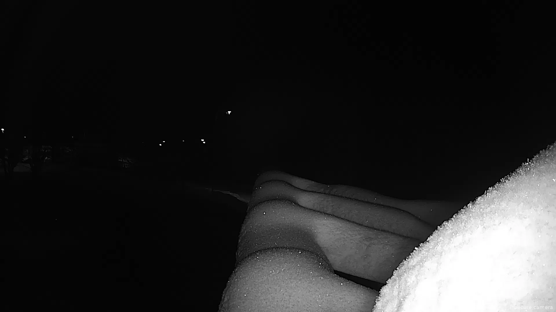 Capture from Feb 25, 2026 at 02:31 AM