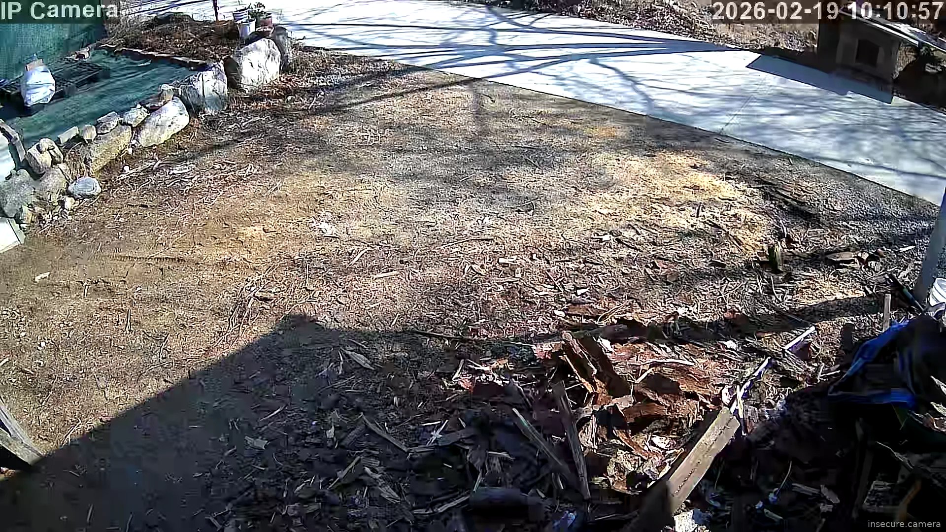 Capture from Feb 19, 2026 at 01:11 AM