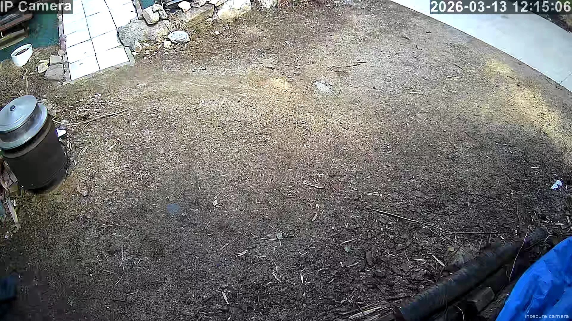 Camera in South Korea