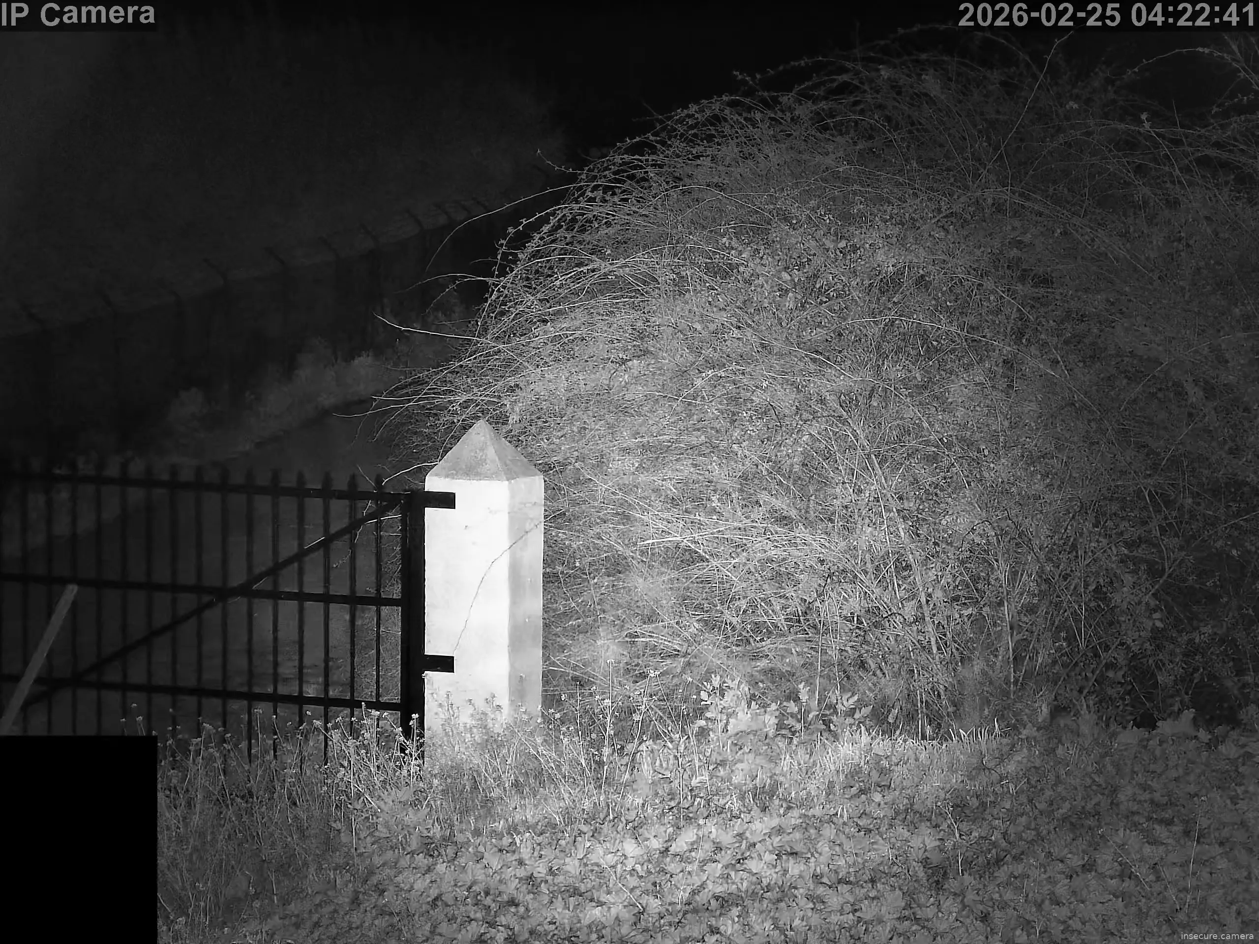 Capture from Feb 25, 2026 at 03:23 AM