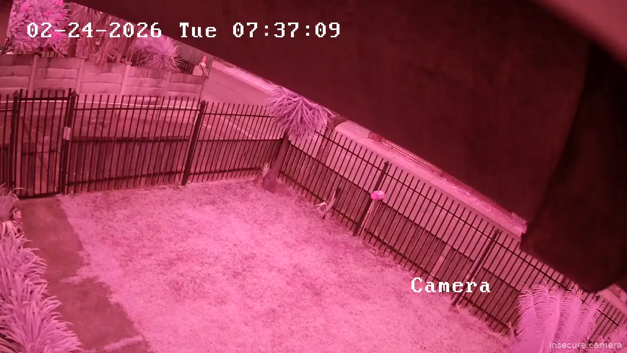 Capture from Feb 24, 2026 at 04:34 AM