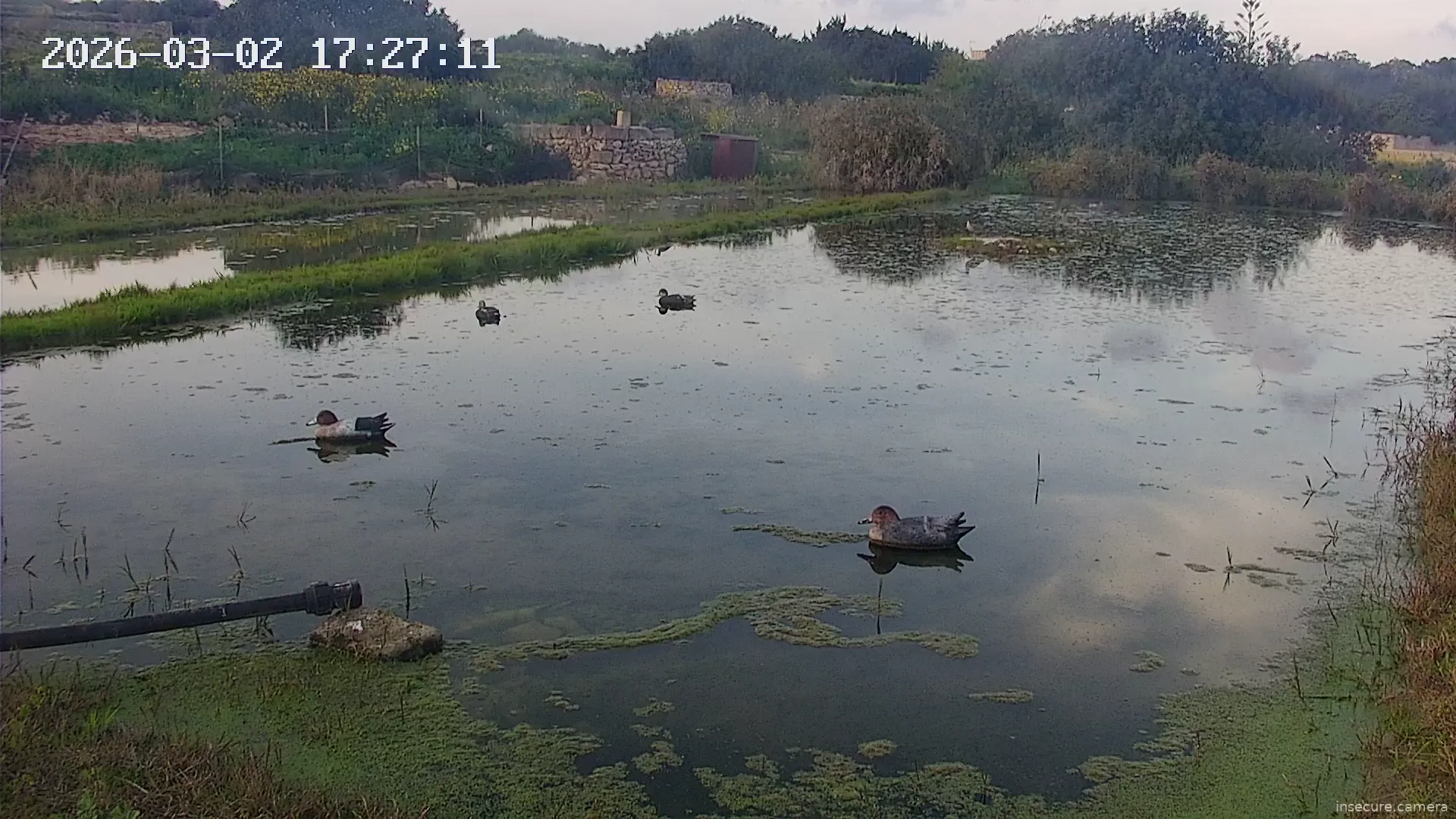 Capture from Mar 02, 2026 at 04:27 PM