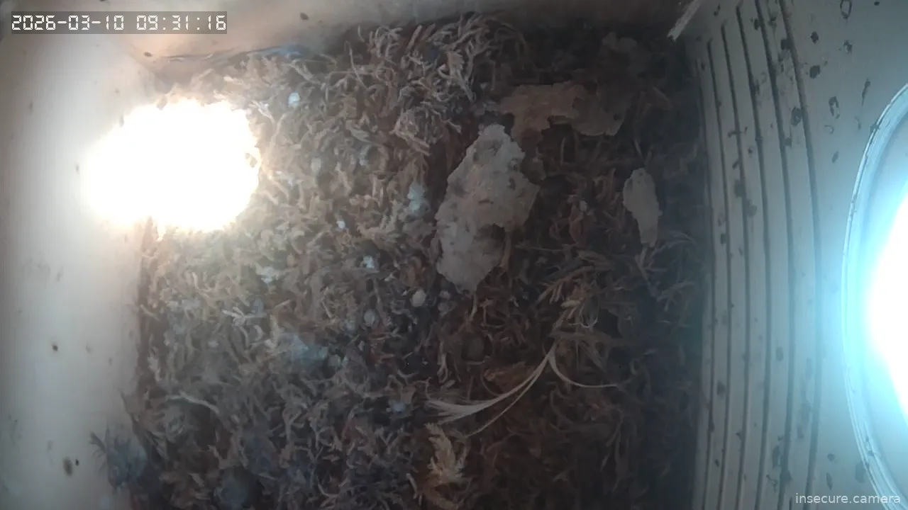 Capture from Mar 10, 2026 at 08:31 AM