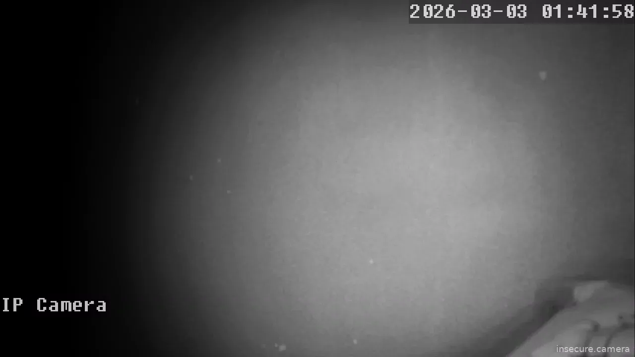 Capture from Mar 03, 2026 at 05:42 AM