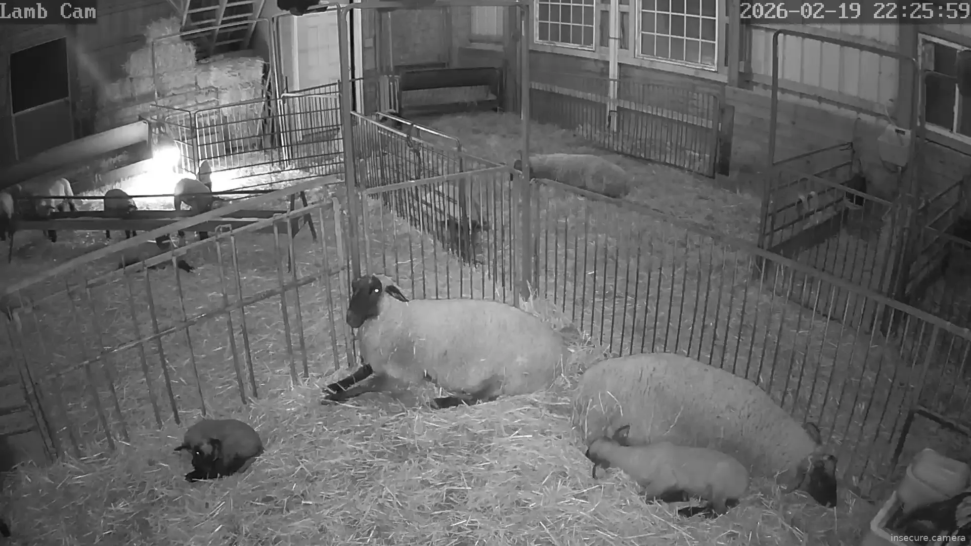 Capture from Feb 20, 2026 at 03:27 AM