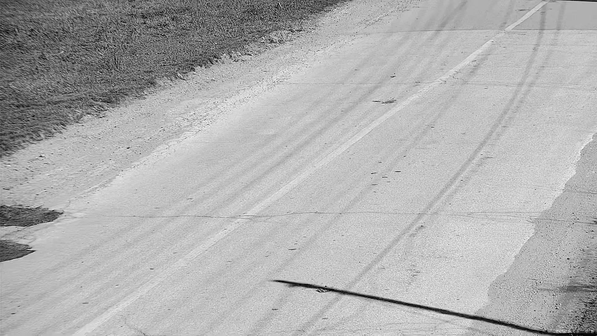 Capture from Mar 07, 2026 at 11:50 AM