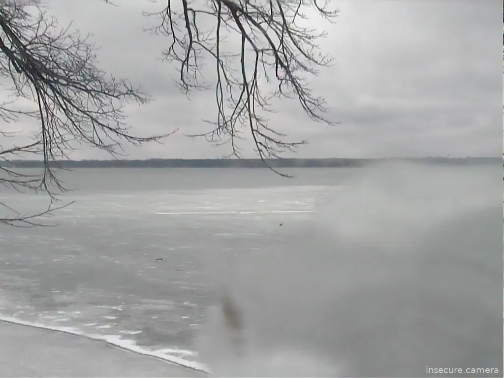 Capture from Mar 07, 2026 at 07:21 PM