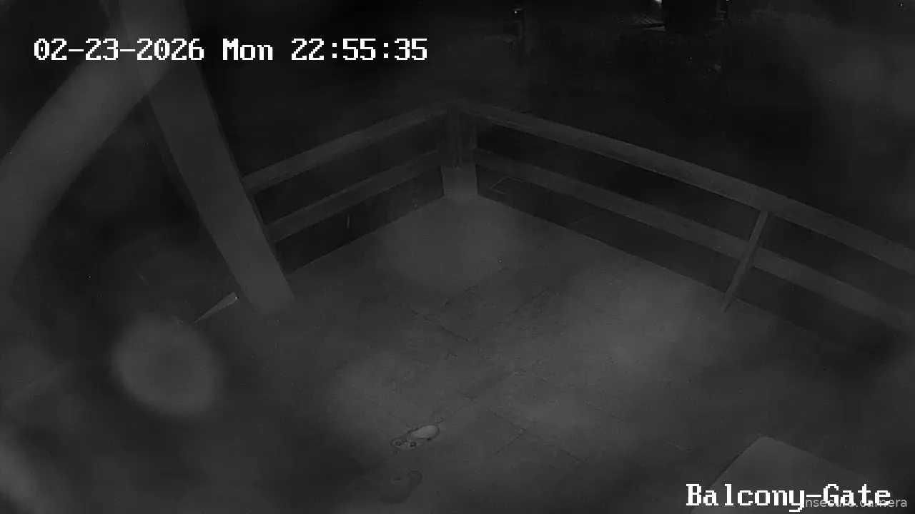 Capture from Feb 24, 2026 at 02:55 AM