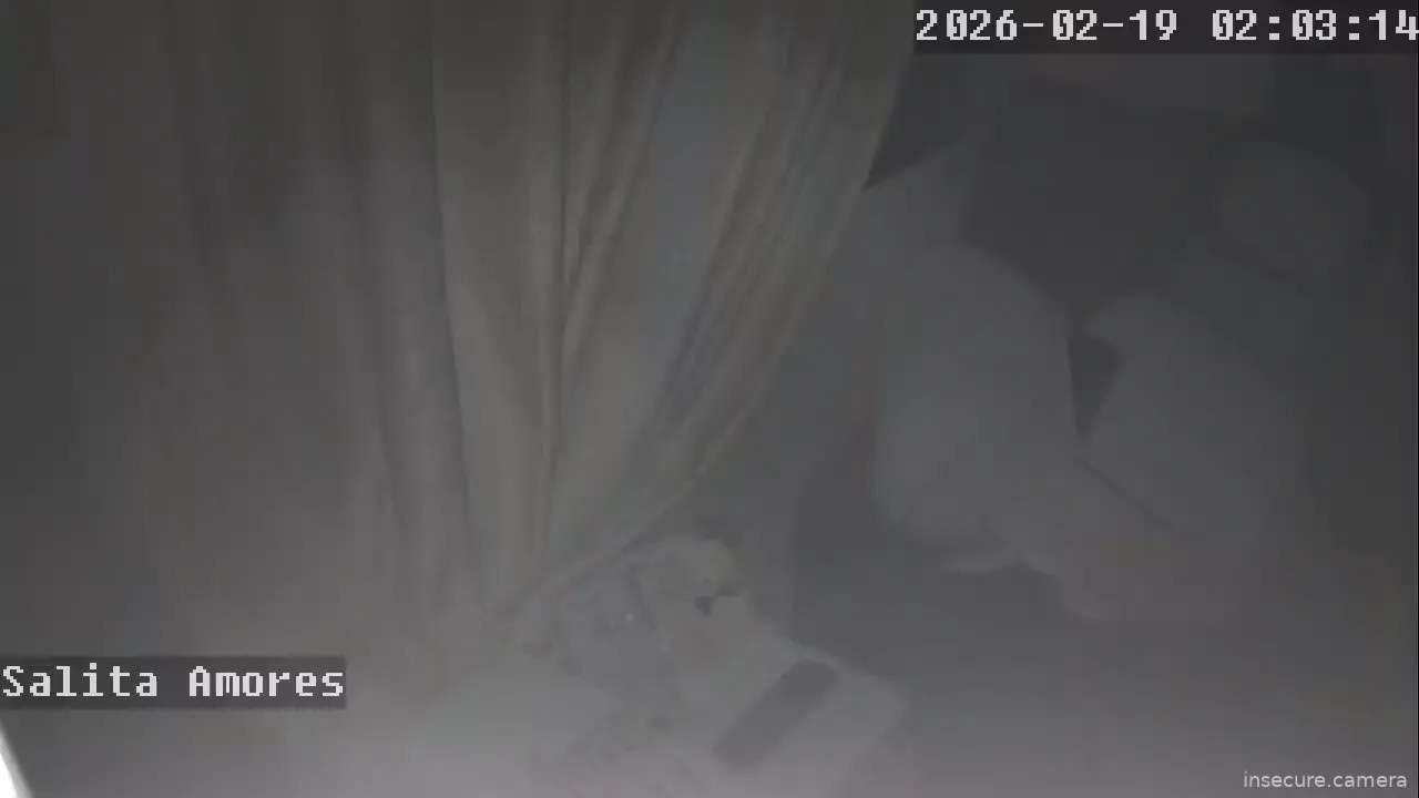 Capture from Feb 19, 2026 at 12:03 AM