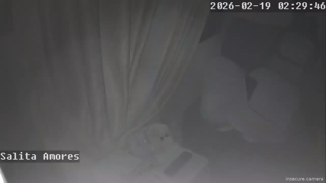 Capture from Feb 19, 2026 at 12:30 AM