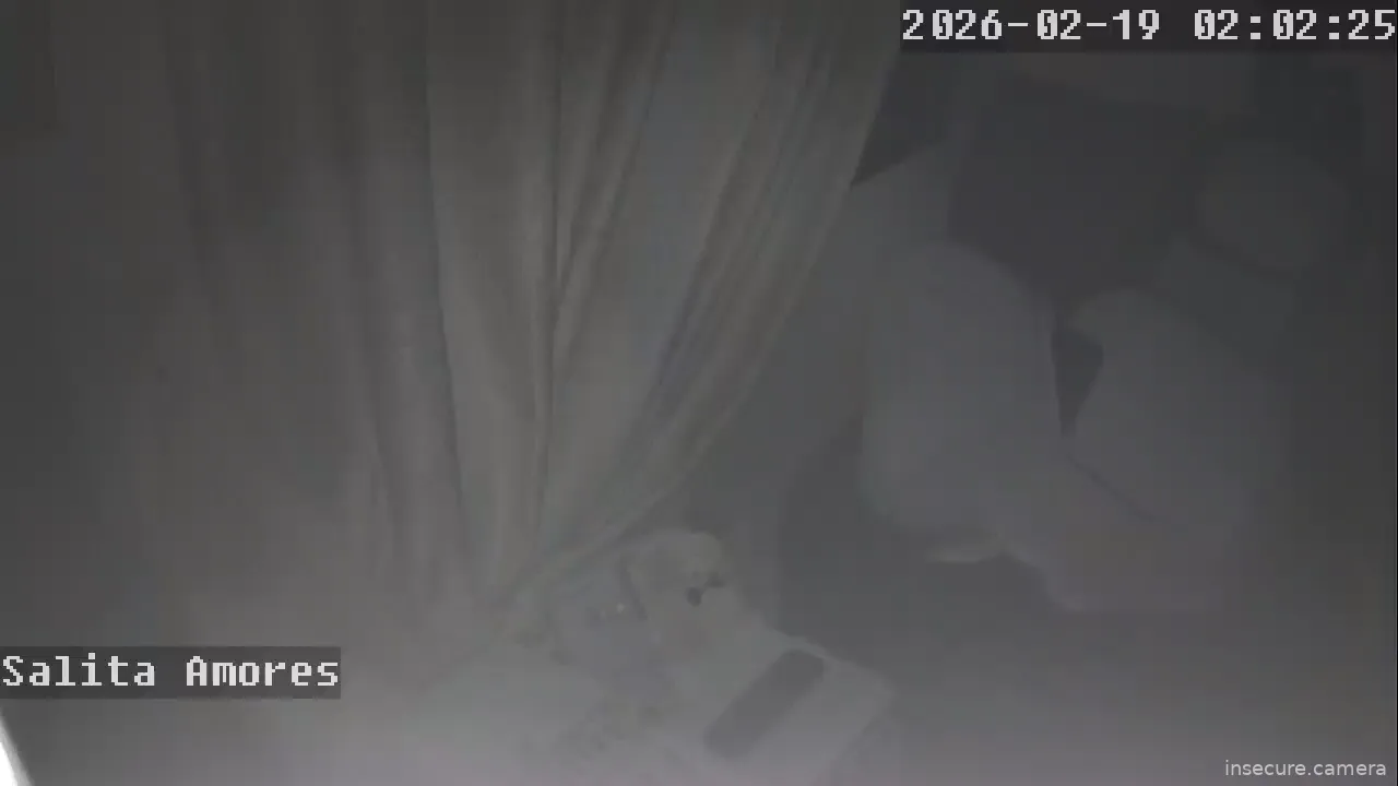Capture from Feb 19, 2026 at 12:02 AM