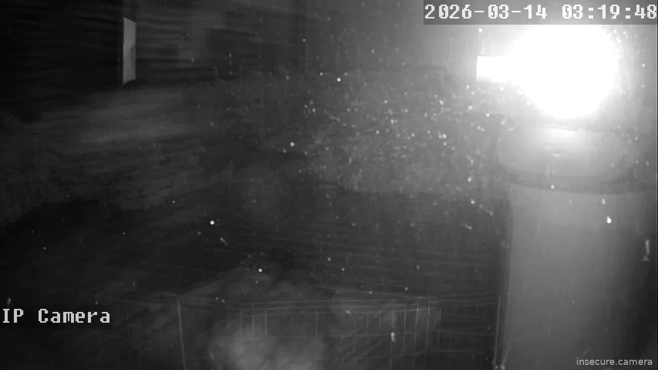 Capture from Mar 13, 2026 at 07:20 PM