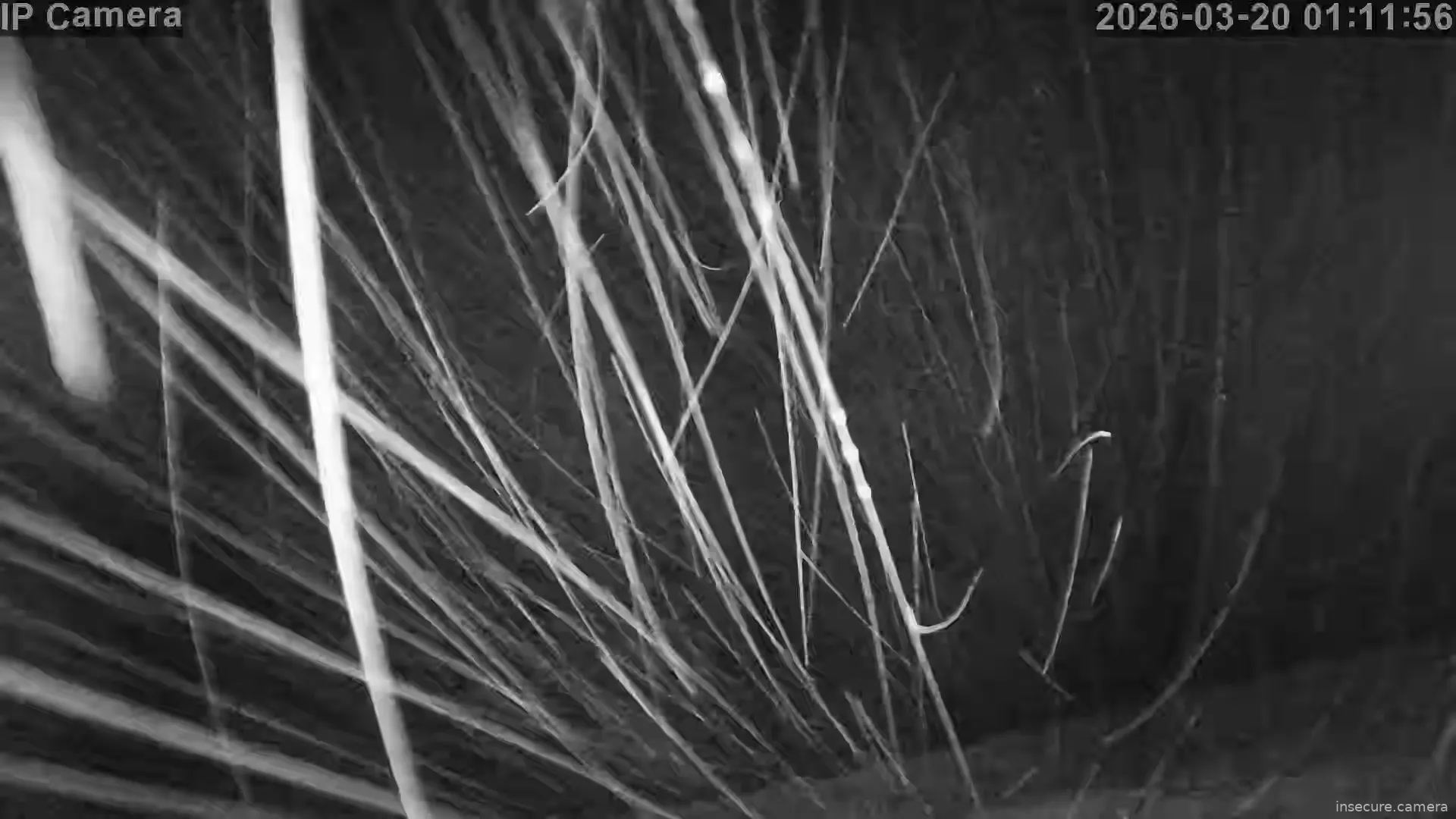 Capture from Mar 19, 2026 at 10:12 PM