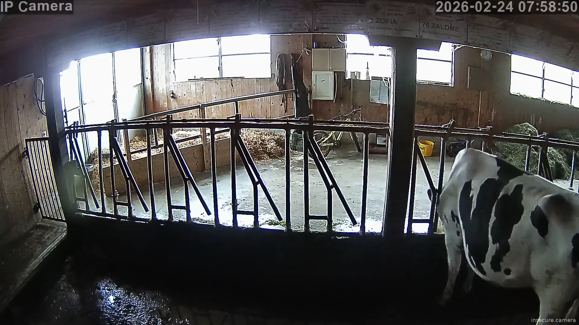 Capture from Feb 24, 2026 at 06:59 AM