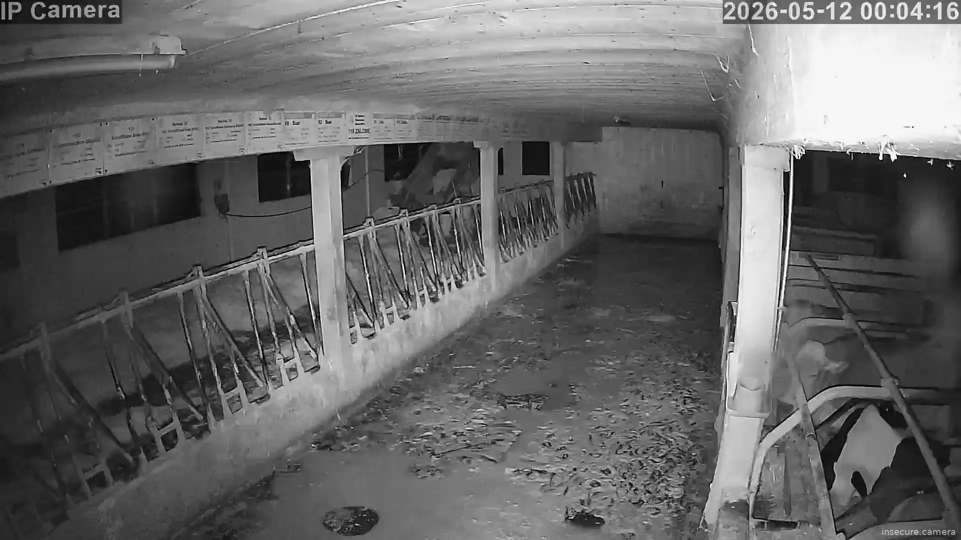 Capture from May 11, 2026 at 10:04 PM