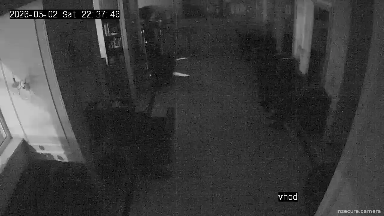 Camera in Russia