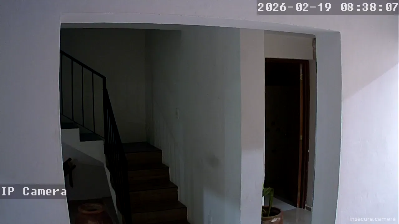 Capture from Feb 19, 2026 at 12:38 AM