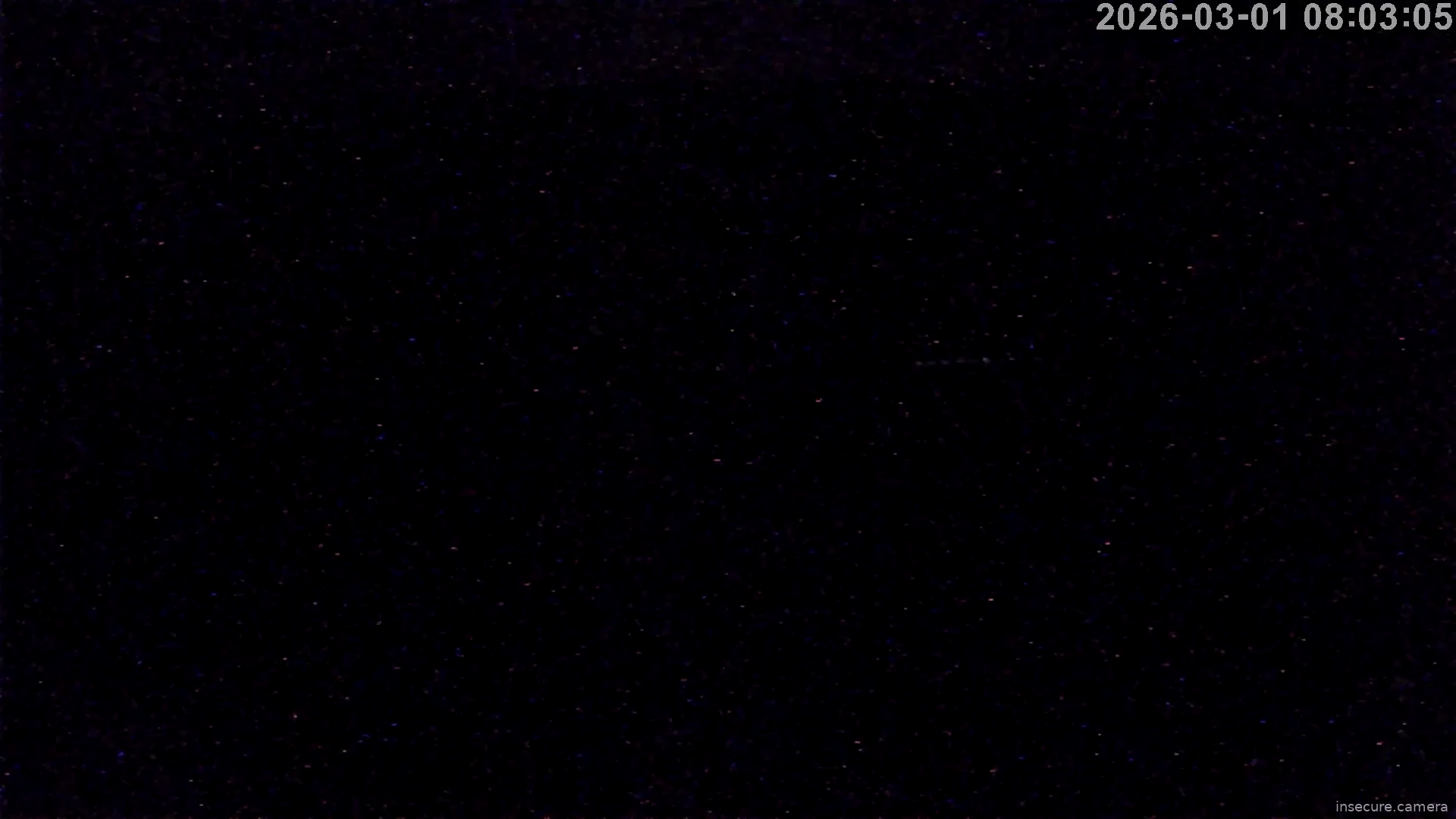Capture from Mar 01, 2026 at 12:03 AM