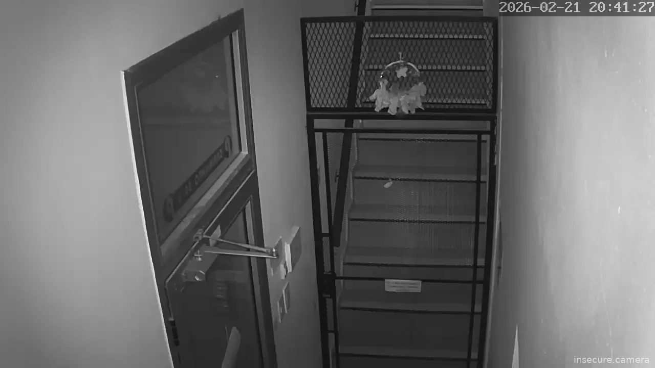 Capture from Feb 21, 2026 at 11:41 PM