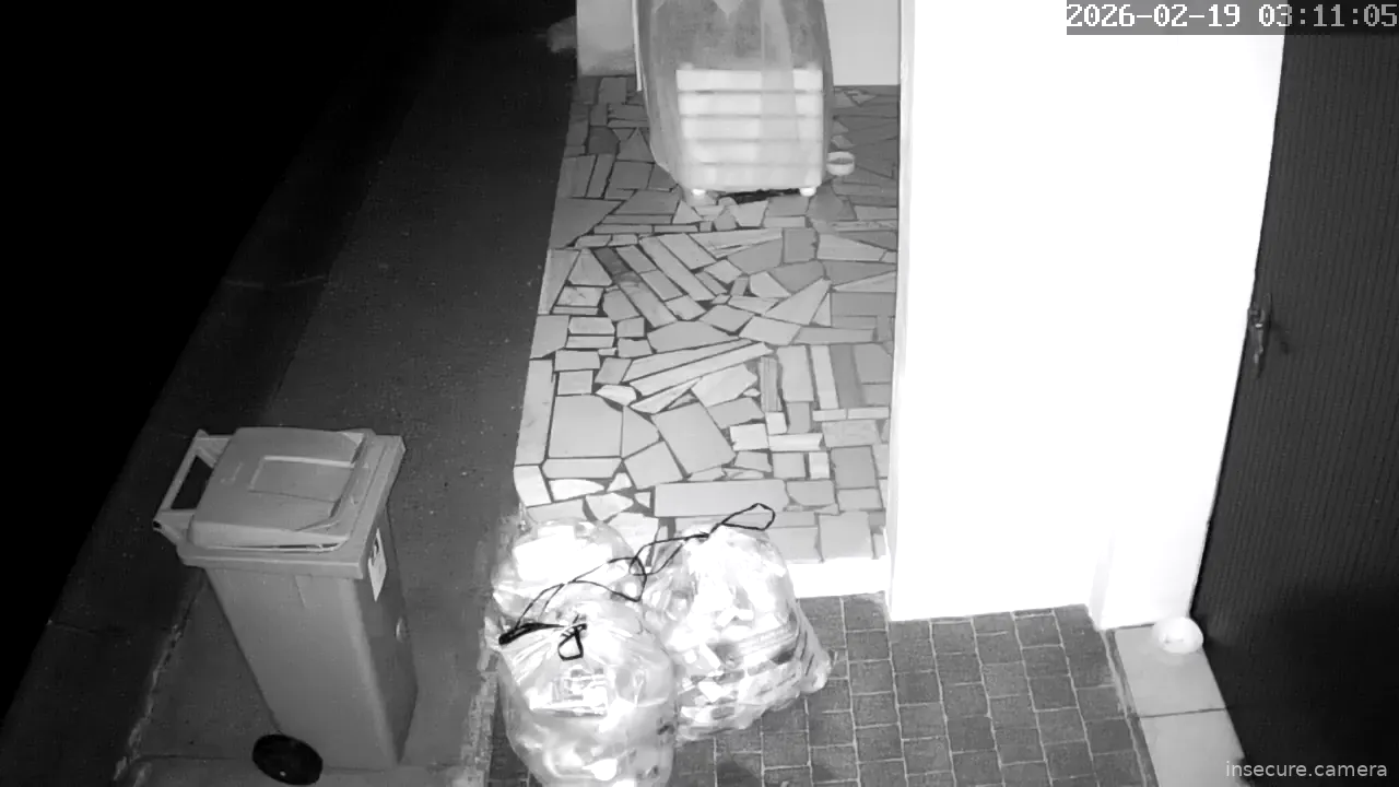 Capture from Feb 19, 2026 at 01:11 AM