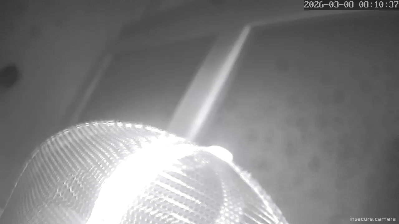 Capture from Mar 08, 2026 at 12:10 AM