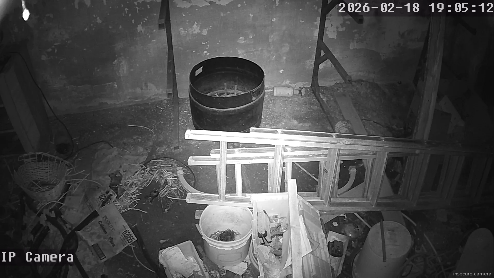 Capture from Feb 19, 2026 at 01:05 AM