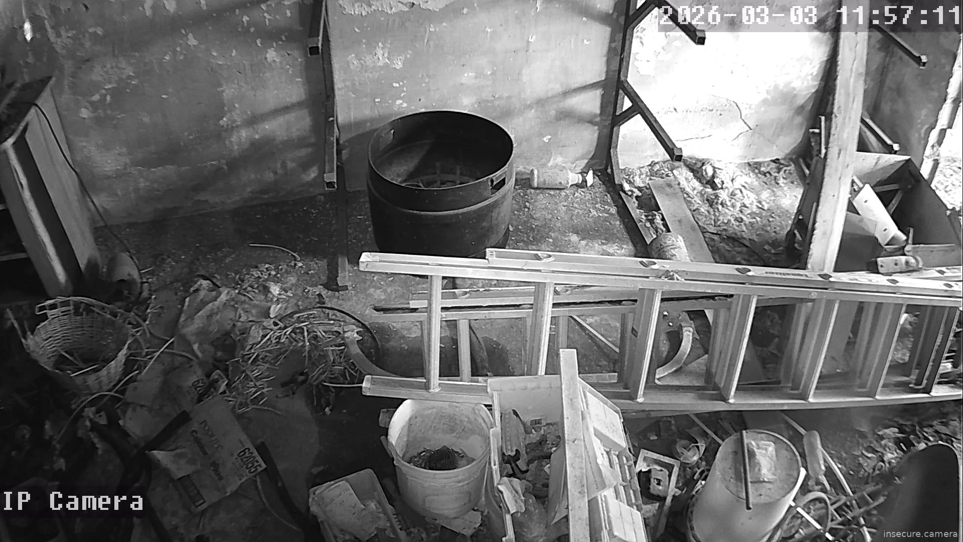 Capture from Mar 03, 2026 at 05:57 PM