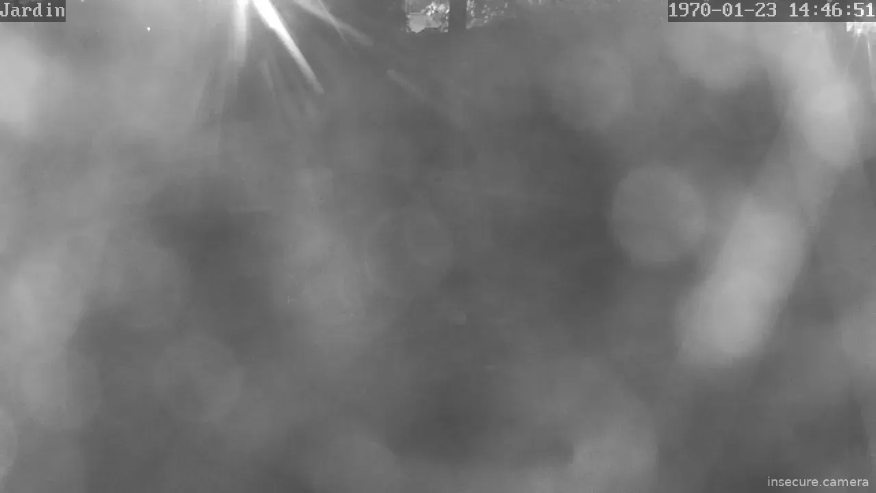 Capture from Feb 19, 2026 at 12:46 AM