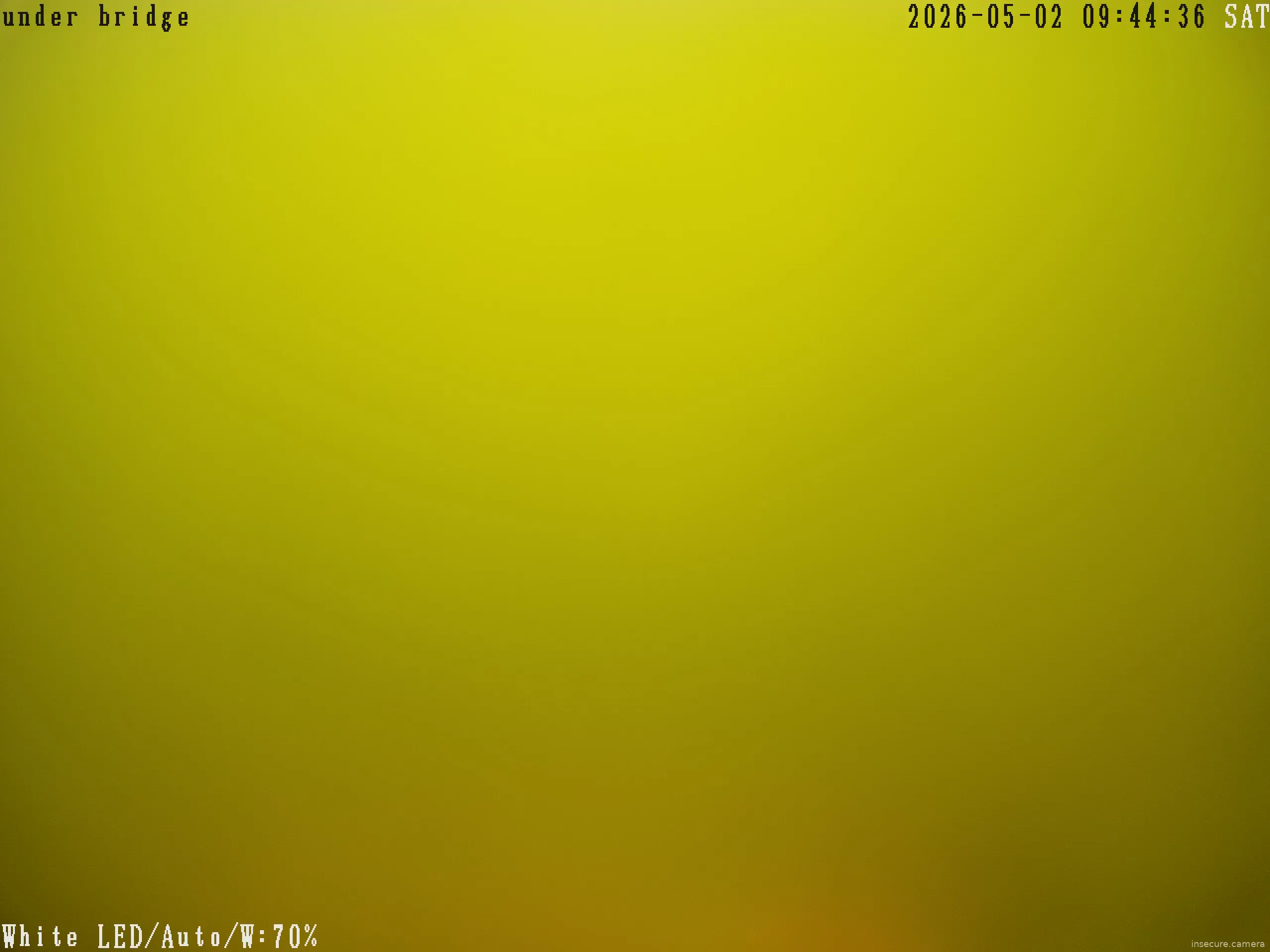 Camera in Canada