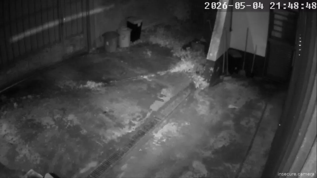 Capture from May 05, 2026 at 12:49 AM