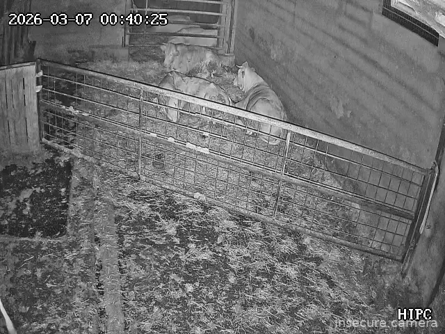 Capture from Mar 06, 2026 at 11:40 PM