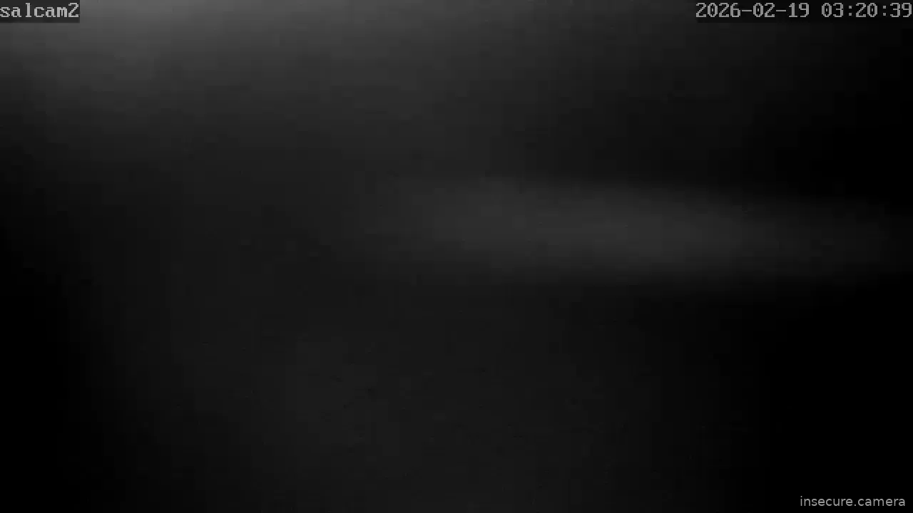Capture from Feb 19, 2026 at 01:21 AM