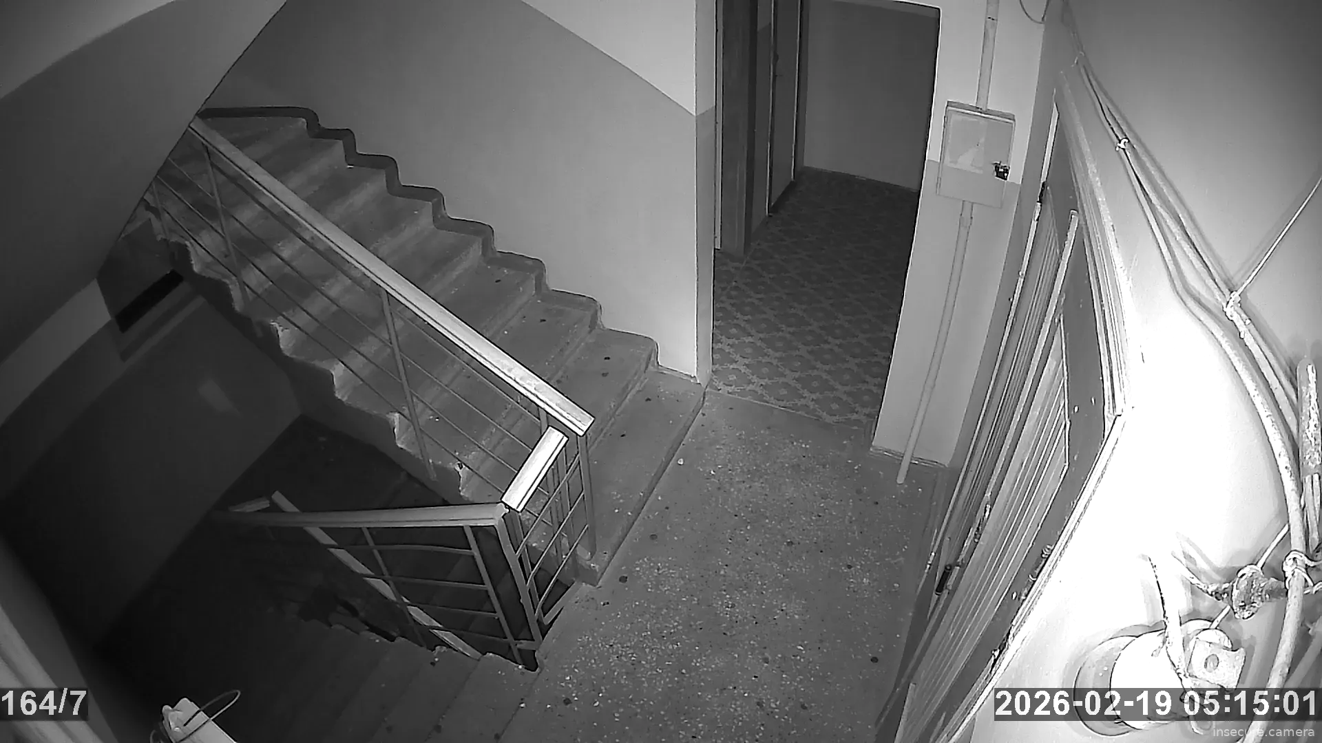 Capture from Feb 19, 2026 at 03:15 AM