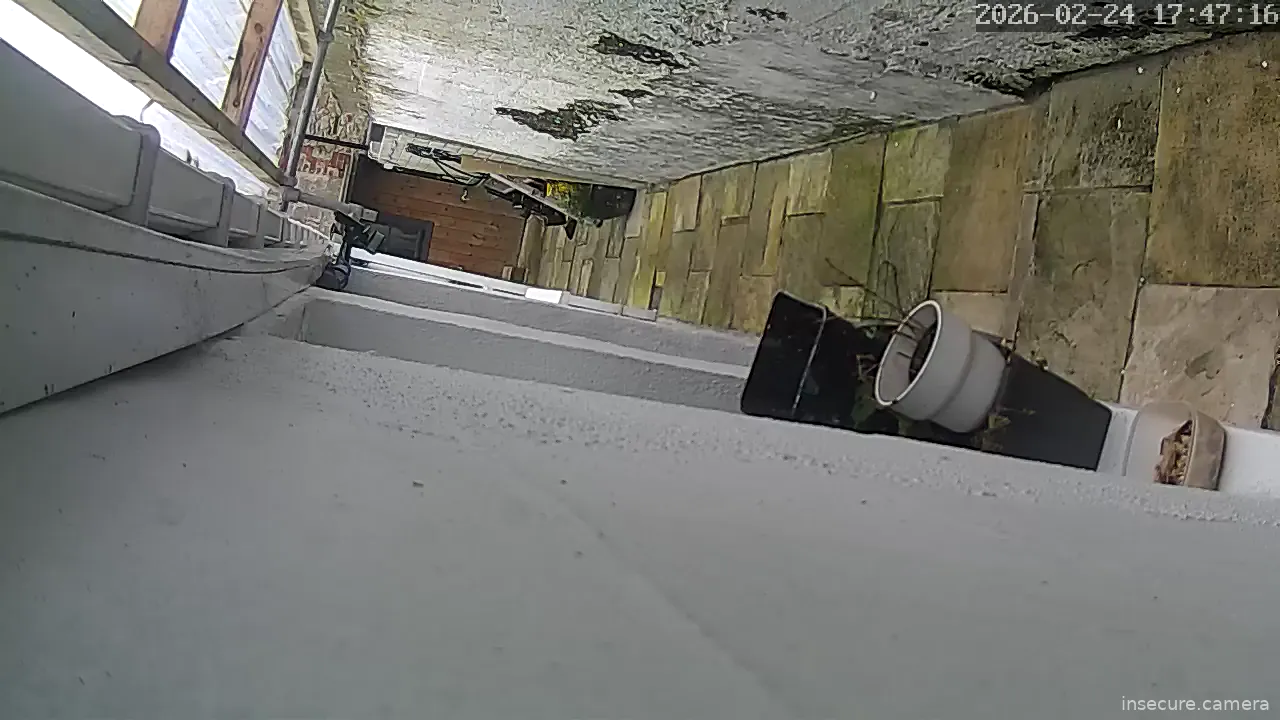Capture from Feb 24, 2026 at 09:47 AM
