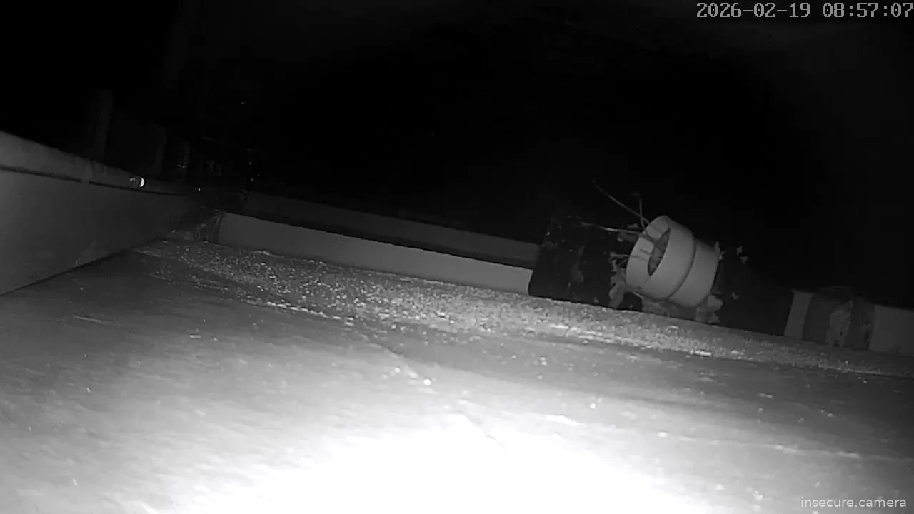 Capture from Feb 19, 2026 at 12:57 AM