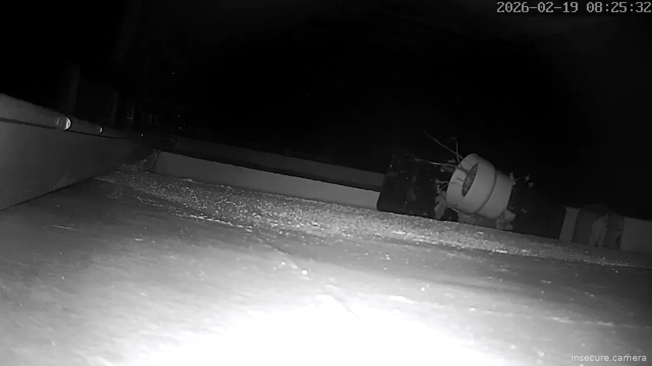 Capture from Feb 19, 2026 at 12:25 AM