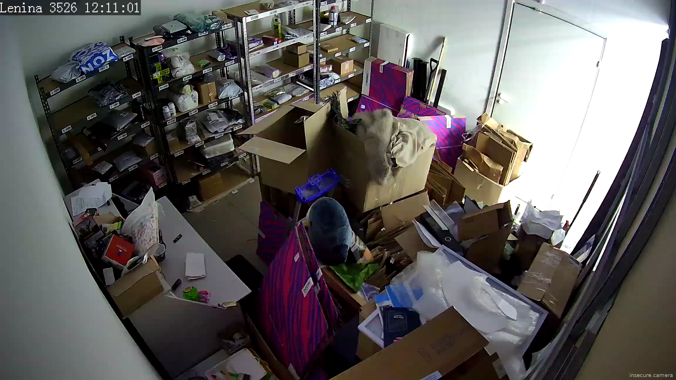 Capture from Mar 01, 2026 at 07:11 AM