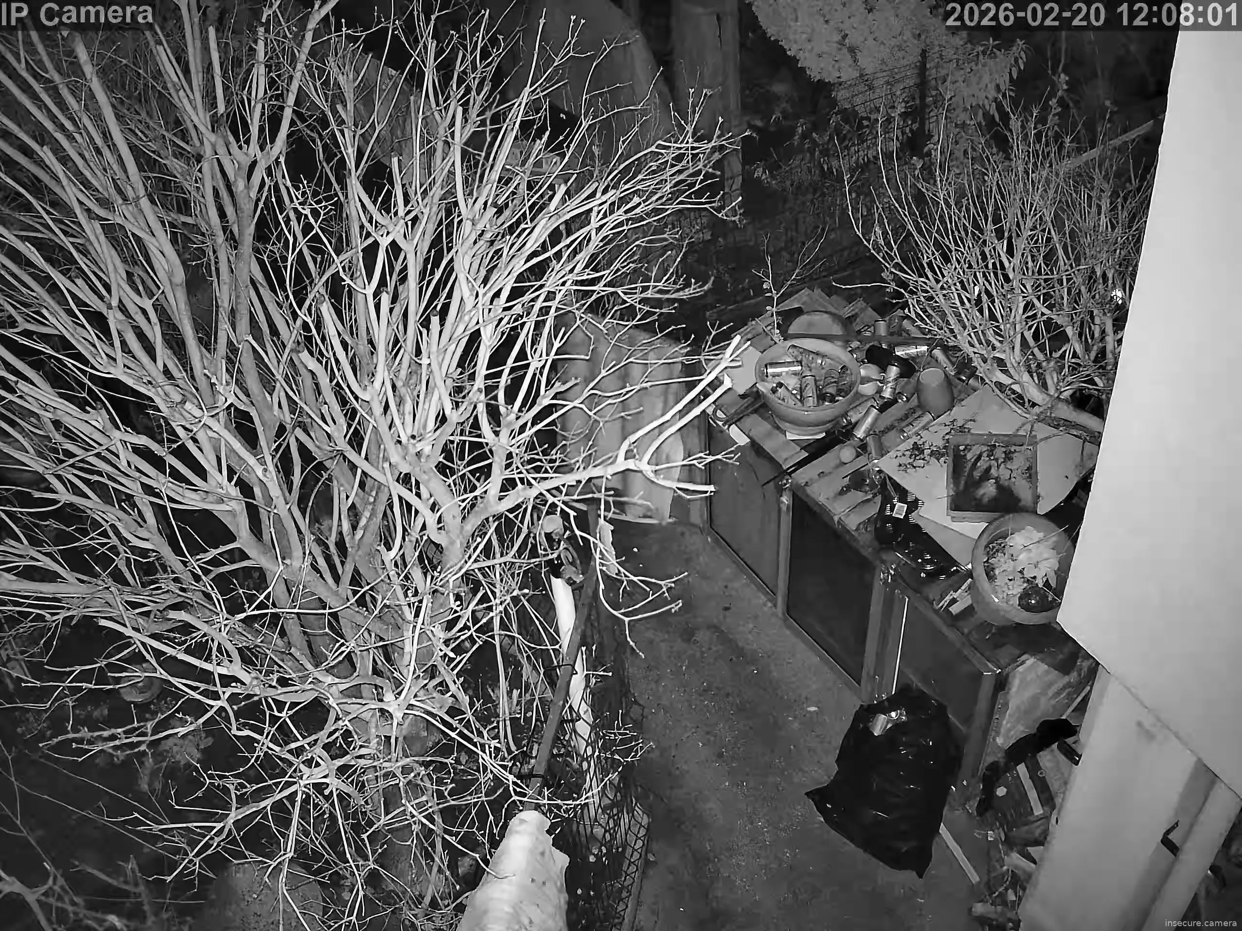 Capture from Feb 20, 2026 at 04:09 AM