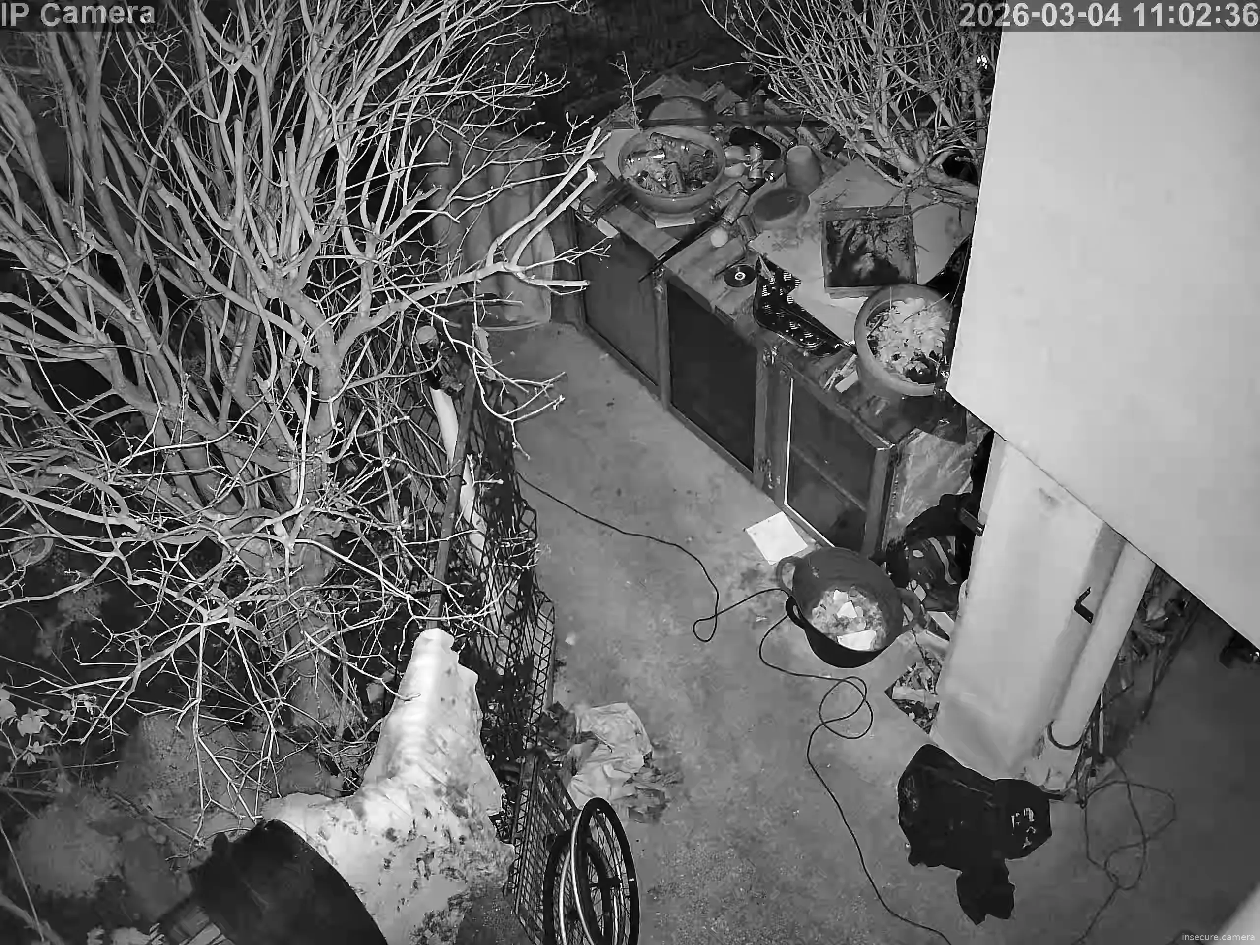 Capture from Mar 04, 2026 at 03:03 AM