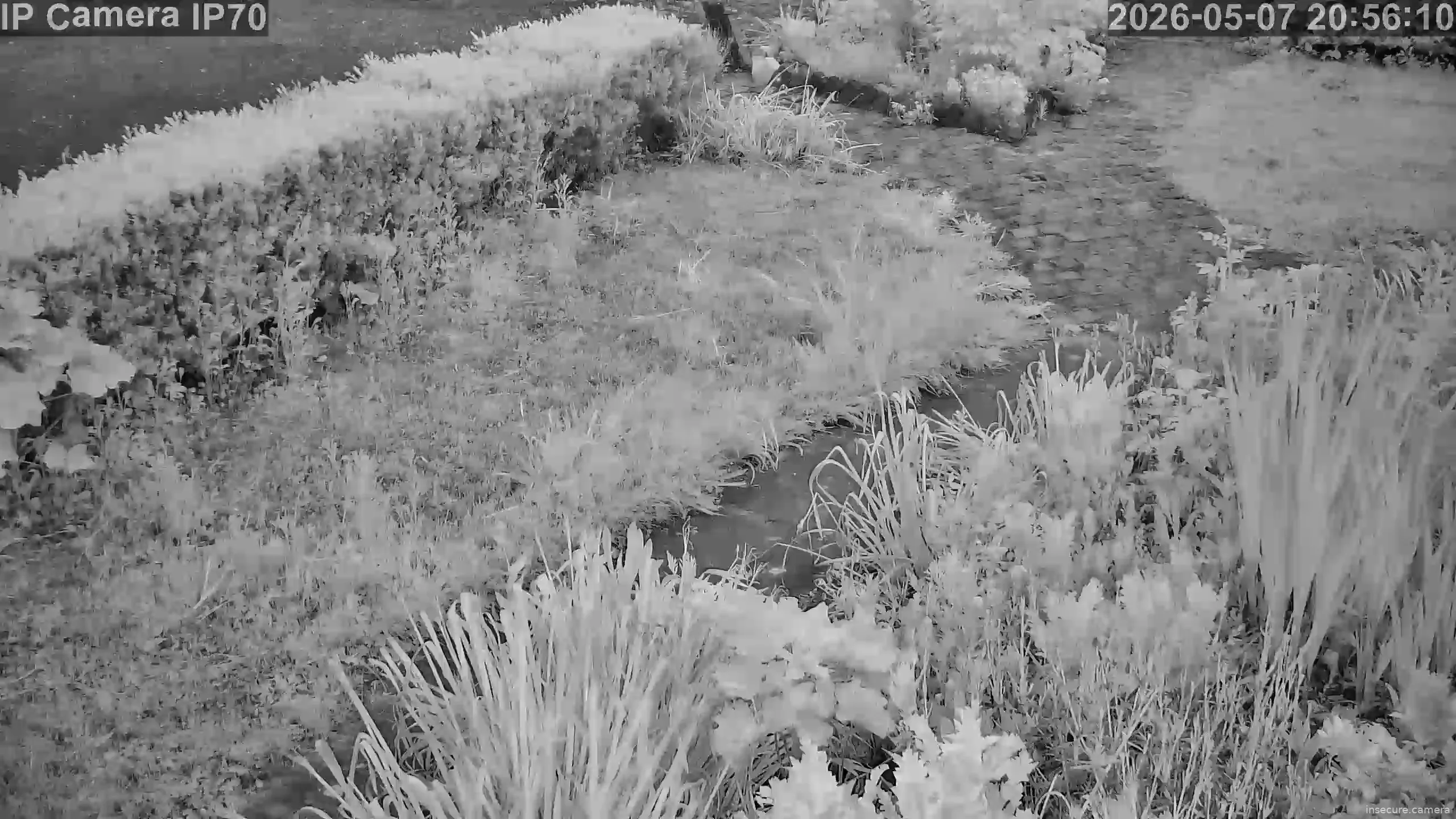Capture from May 07, 2026 at 07:56 PM