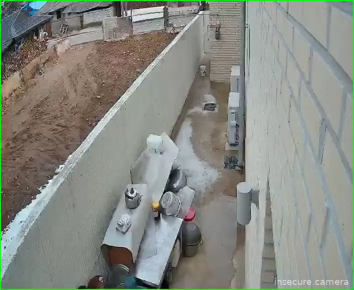 Capture from Feb 26, 2026 at 04:48 AM