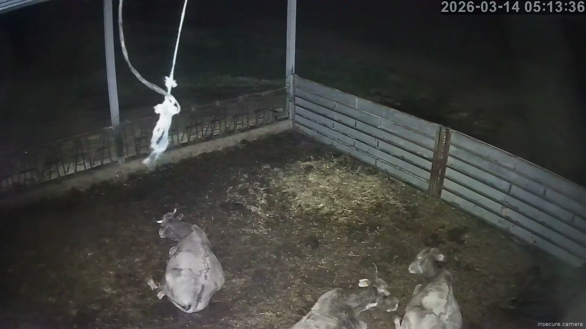 Capture from Mar 14, 2026 at 05:13 AM