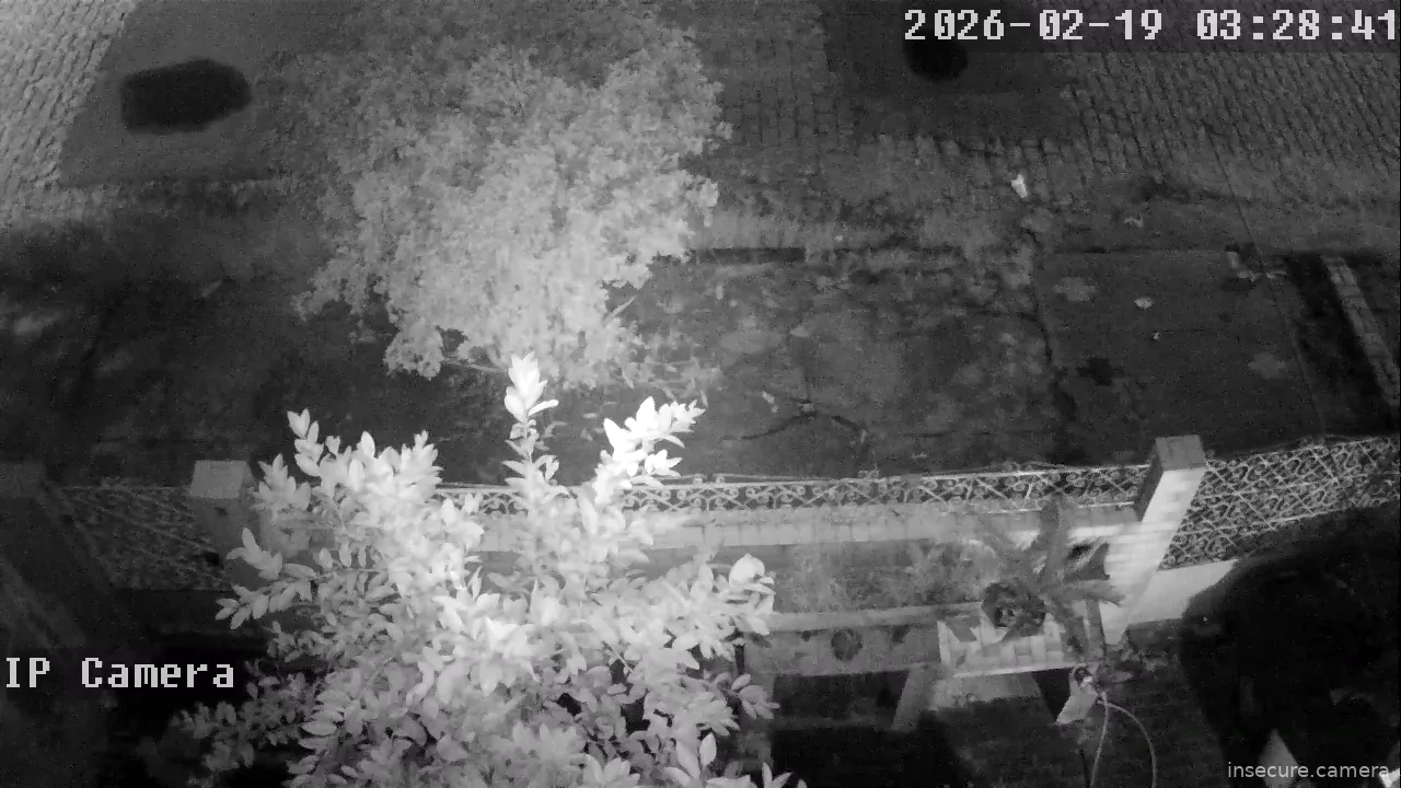 Capture from Feb 19, 2026 at 06:29 AM